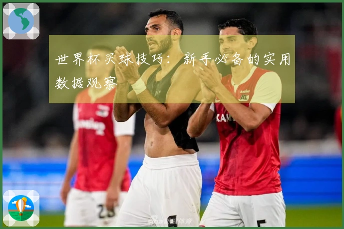 世界杯买球技巧：新手必备的实用数据观察