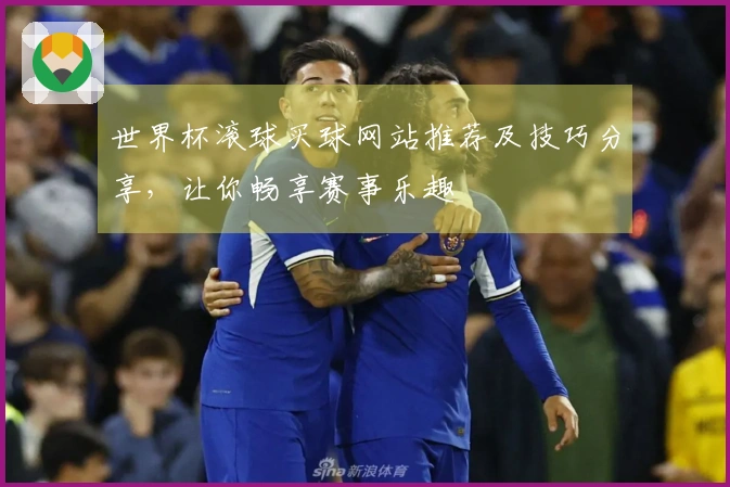 世界杯滚球买球网站推荐及技巧分享，让你畅享赛事乐趣