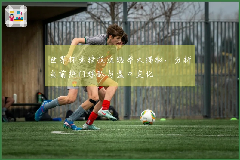 世界杯竞猜投注赔率大揭秘，分析当前热门球队与盘口变化