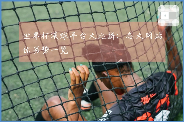 世界杯滚球平台大比拼：各大网站优劣势一览