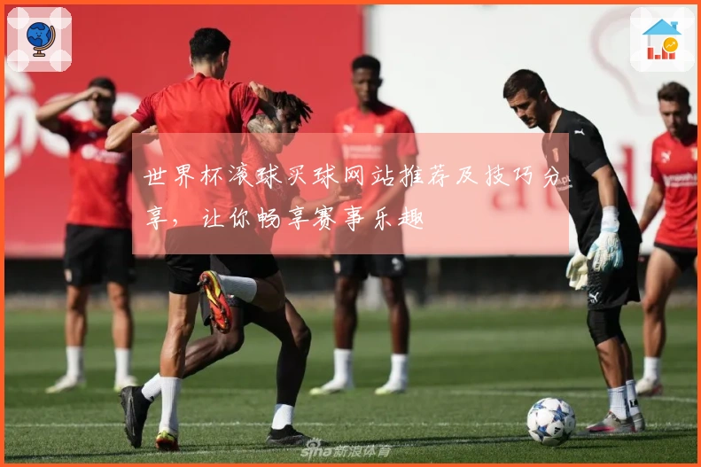 世界杯滚球买球网站推荐及技巧分享，让你畅享赛事乐趣