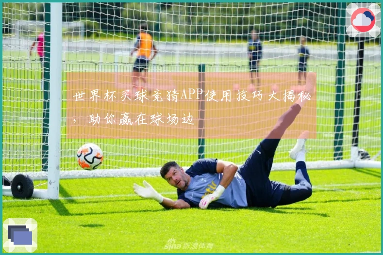世界杯买球竞猜APP使用技巧大揭秘，助你赢在球场边