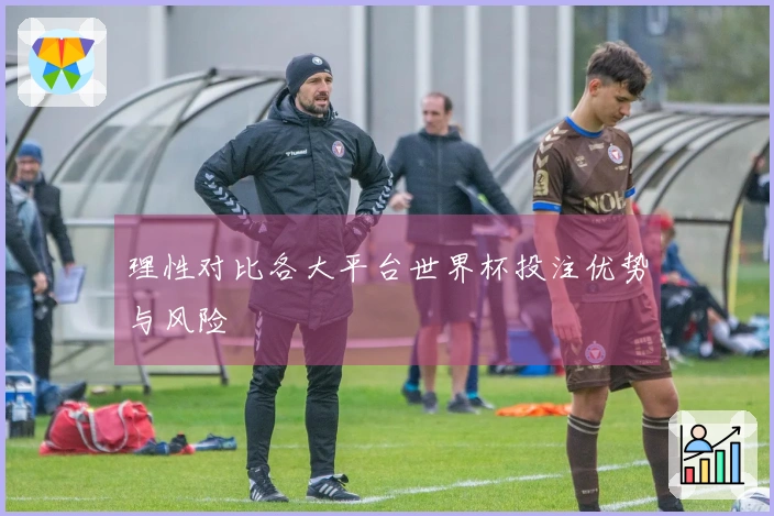 理性对比各大平台世界杯投注优势与风险